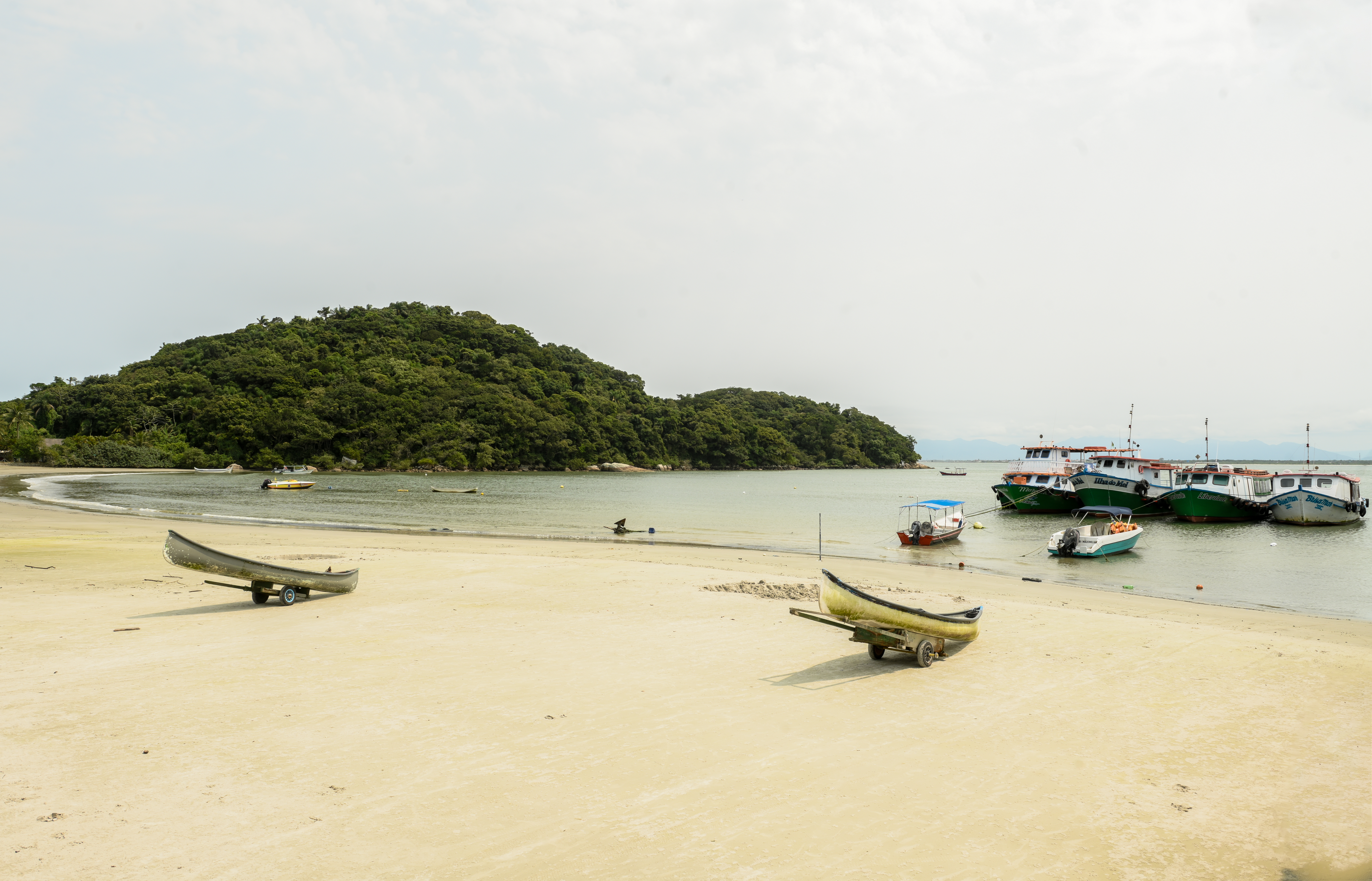 54053922028_daa2fe2ca1_o (1)