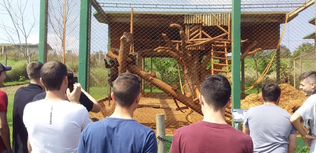 SUDOESTE-Dois-Vizinhos-Zoologico-Credito-Marieli-Bocchese-Cenci-1024x498 Lugar de aconchego