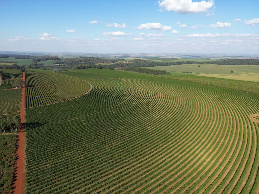 DJI_0015-1024x768 Pedagoga do Café