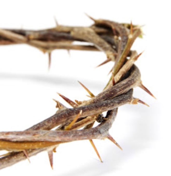 Captura de tela_19-9-2025_222546_www.blogger.com