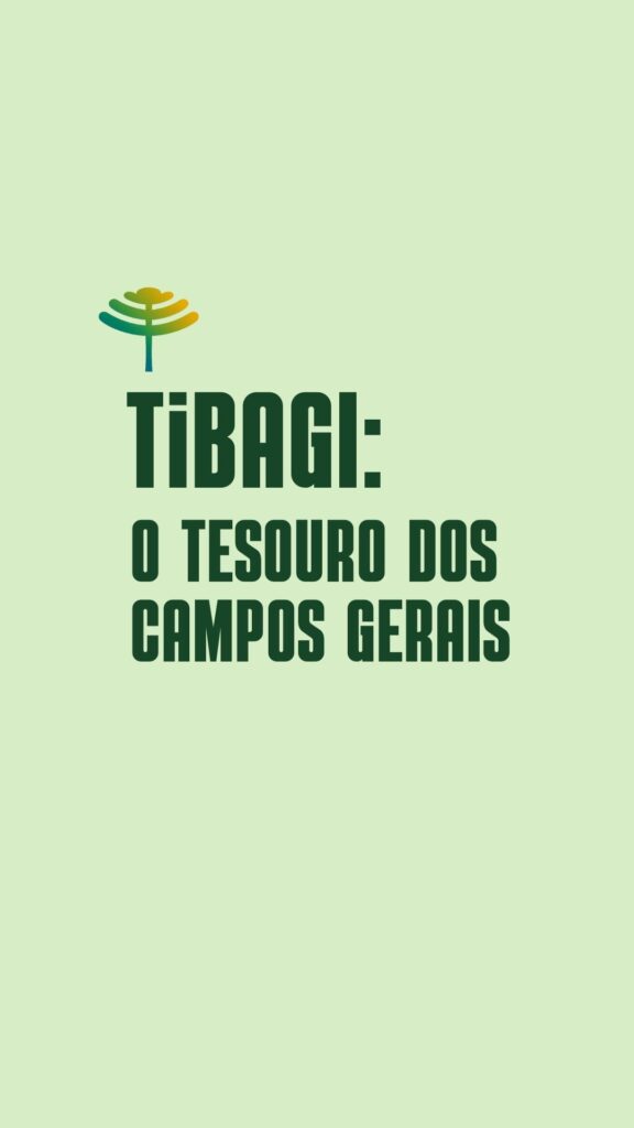 Copia-de-Descubra-o-Parana-Tibagi-Fecomercio-576x1024 Tibagi: um verdadeiro tesouro do Paraná