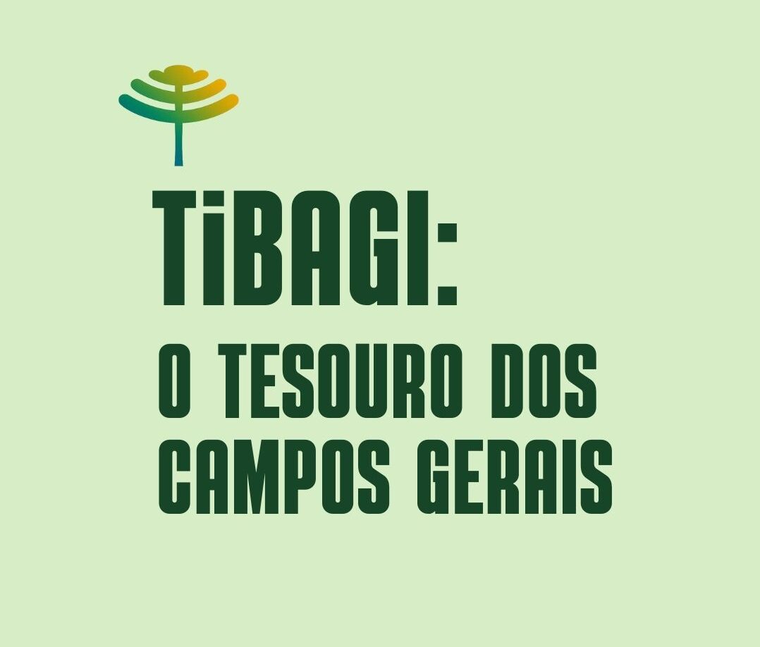 Cópia de Descubra o Paraná Tibagi Fecomércio