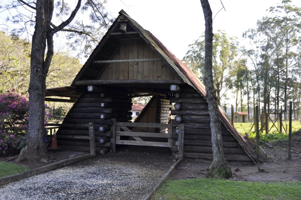 DSC0033-1024x680 Souvenir gastronômico
