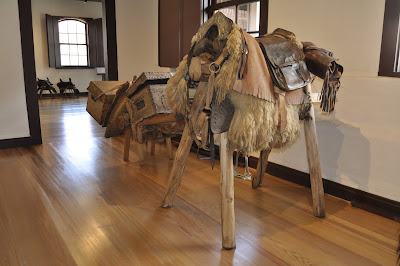 DSC0037 Entre campos e arenitos