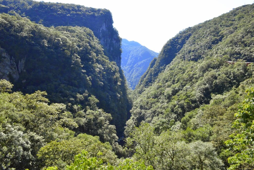 DSC2720-1024x684 Sobre os trilhos