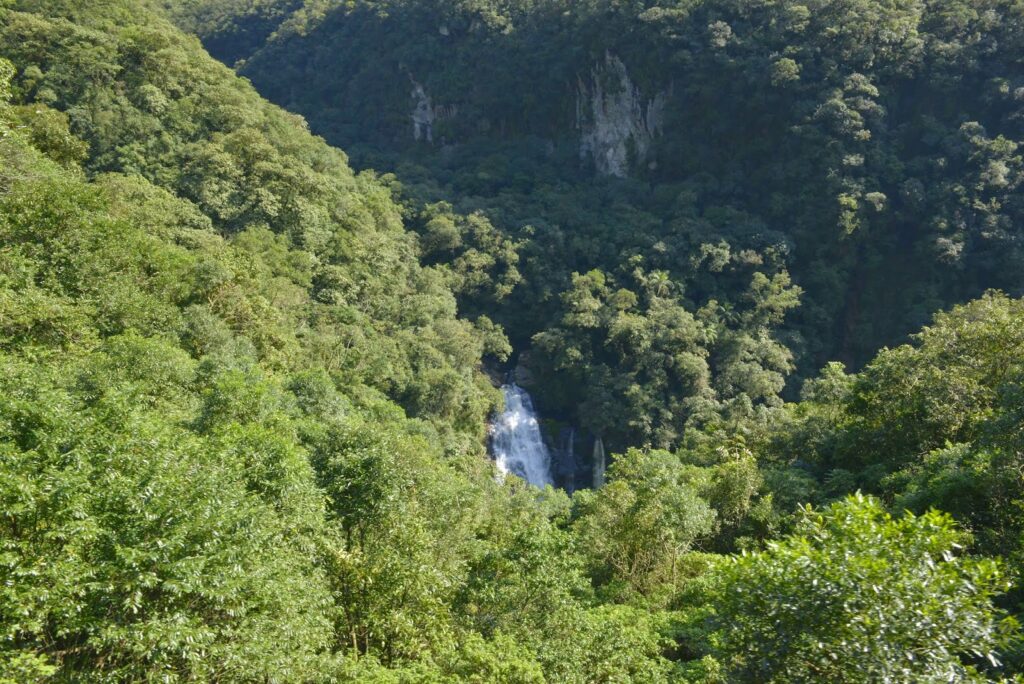 DSC2723-1024x684 Sobre os trilhos