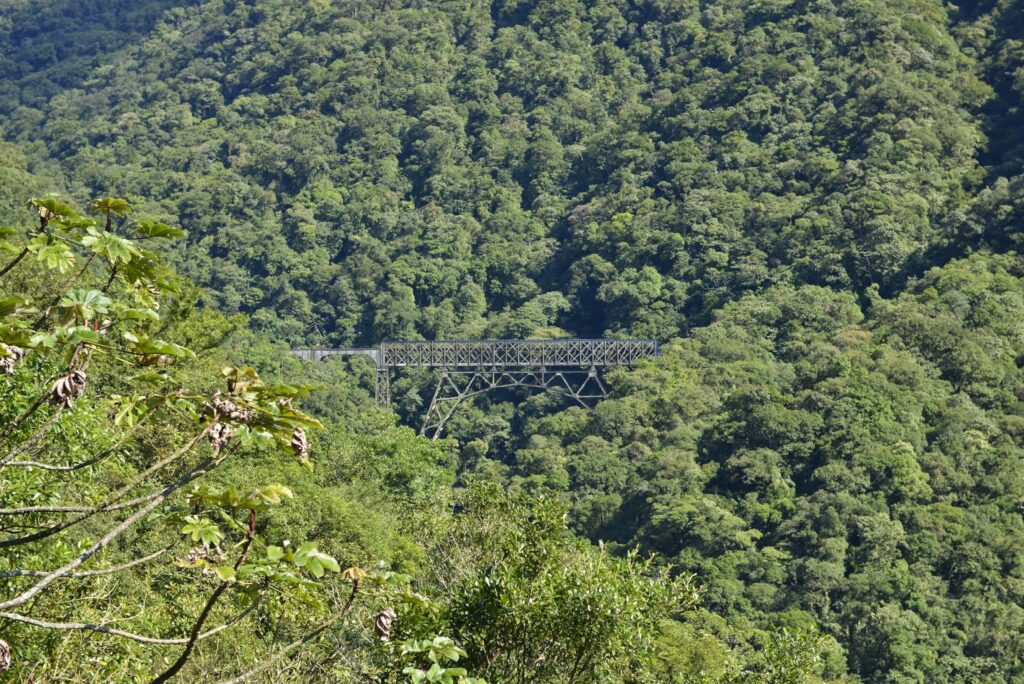 DSC2766-1024x684 Sobre os trilhos