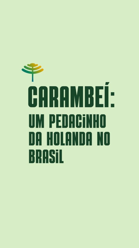 Descubra-o-Parana-Carambei-1-576x1024 Carambeí: um pedacinho da Holanda no Brasil