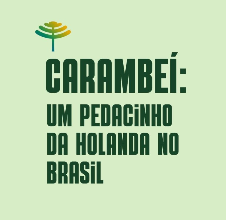 Descubra o Paraná Carambeí (1)