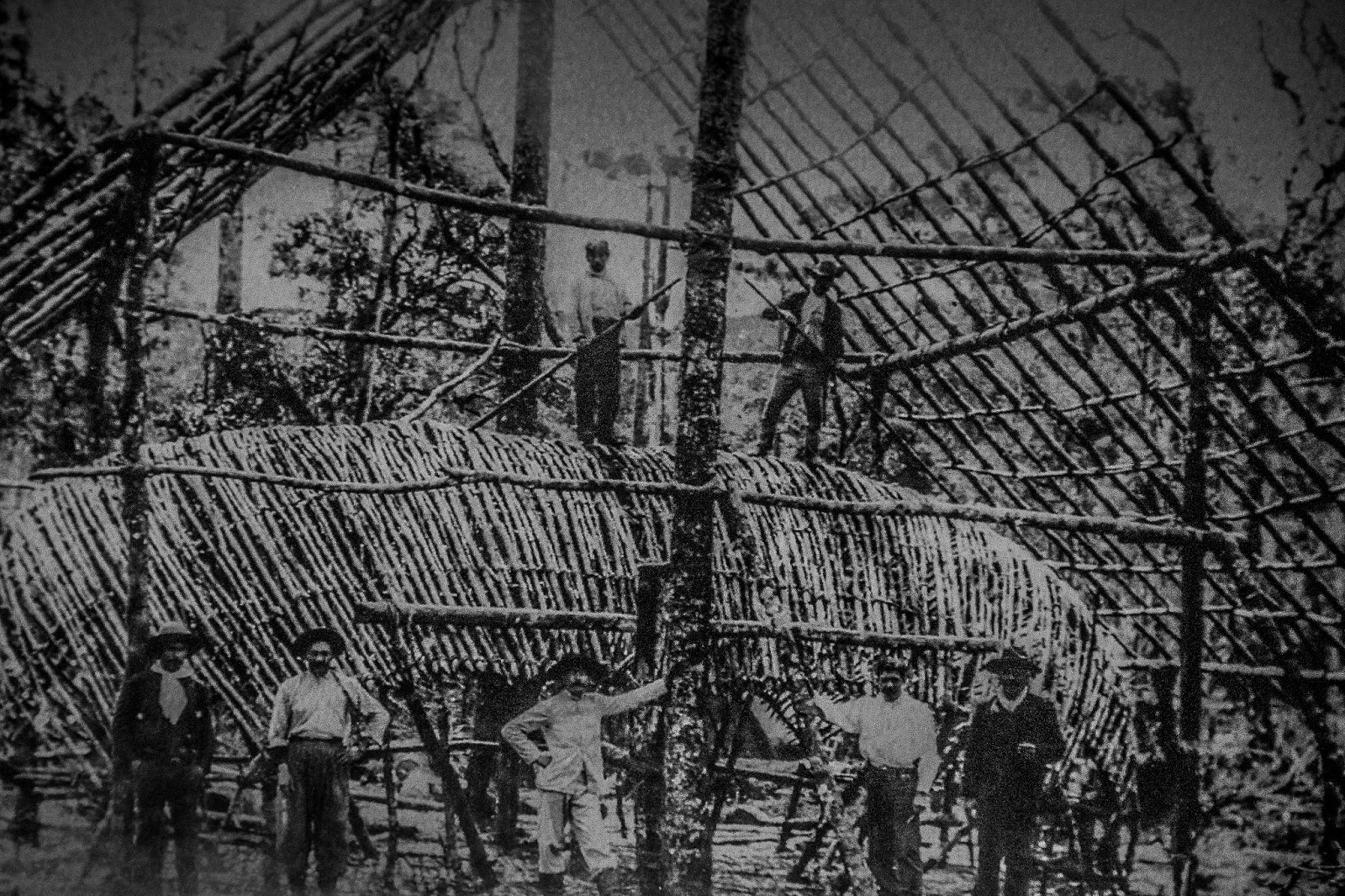 Museu Paranaense Erva Mate Foto Bruno Tadashi (105)