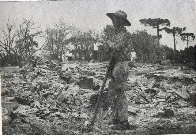 foto-6-1 Seca. Geada. Fogo