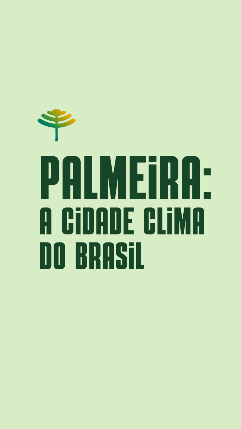 Descubra o Paraná Palmeira Fecomércio (Vídeo para dispositivos móveis)